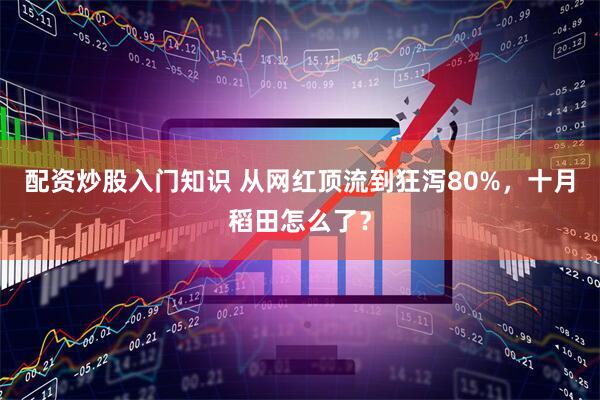 配资炒股入门知识 从网红顶流到狂泻80%，十月稻田怎么了？
